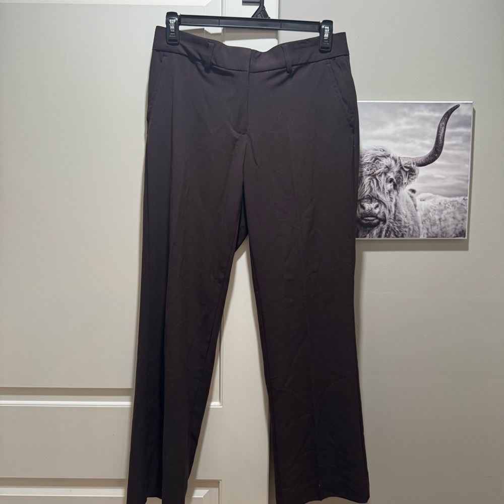 Kim rogers dress pants
